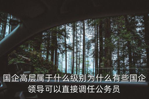 國企高層屬于什么級別為什么有些國企領(lǐng)導可以直接調(diào)任公務(wù)員