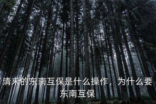 清末的東南互保是什么操作，為什么要東南互保