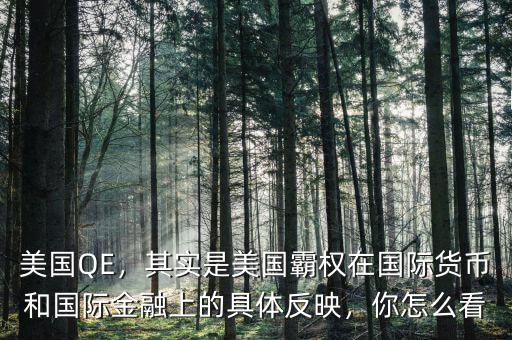 美國(guó)QE，其實(shí)是美國(guó)霸權(quán)在國(guó)際貨幣和國(guó)際金融上的具體反映，你怎么看