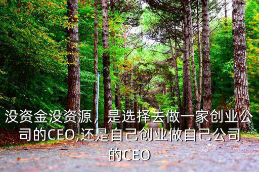 沒(méi)資金沒(méi)資源，是選擇去做一家創(chuàng)業(yè)公司的CEO,還是自己創(chuàng)業(yè)做自己公司的CEO