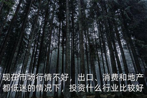 消費投資是什么行業(yè),如何看消費行業(yè)的投資