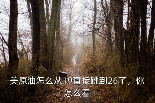 美原油怎么從19直接跳到26了，你怎么看