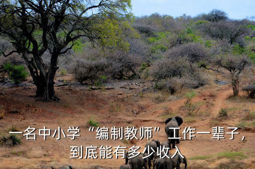 一名中小學(xué)“編制教師”工作一輩子，到底能有多少收入