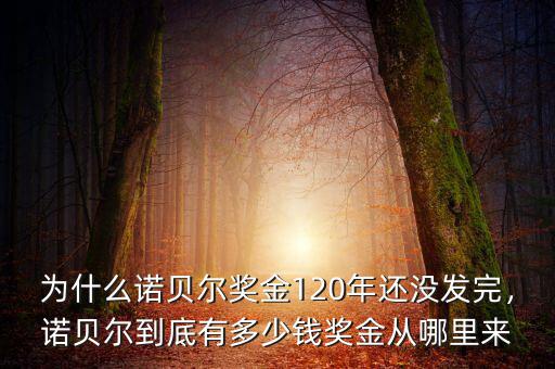 為什么諾貝爾獎金120年還沒發(fā)完，諾貝爾到底有多少錢獎金從哪里來