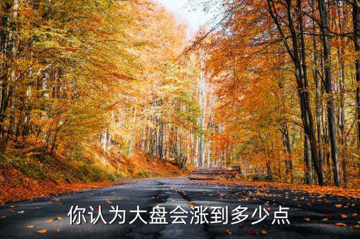 你認(rèn)為大盤(pán)會(huì)漲到多少點(diǎn)