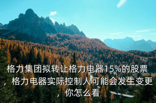格力集團擬轉(zhuǎn)讓格力電器15%的股票，格力電器實際控制人可能會發(fā)生變更，你怎么看