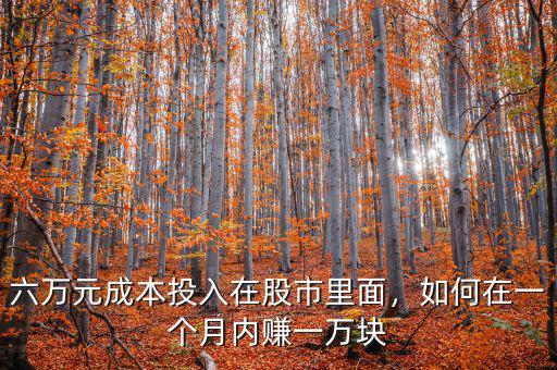 六萬元成本投入在股市里面，如何在一個月內賺一萬塊