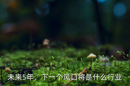 未來5年，下一個風(fēng)口將是什么行業(yè)