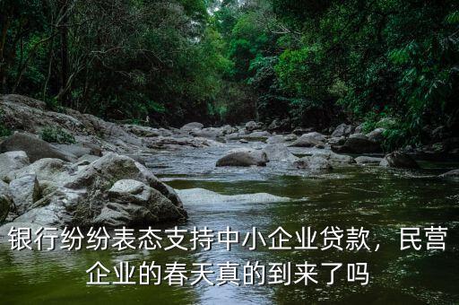 銀行紛紛表態(tài)支持中小企業(yè)貸款，民營(yíng)企業(yè)的春天真的到來(lái)了嗎