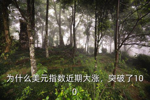 為什么美元指數(shù)近期大漲，突破了100