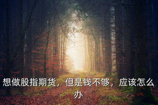 想做股指期貨，但是錢不夠，應該怎么辦