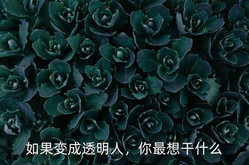 如果變成透明人，你最想干什么