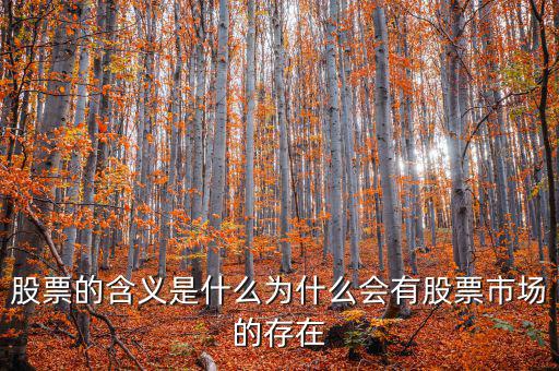股票為什么會(huì),為什么會(huì)有股票市場的存在