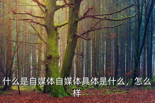 什么是自媒體自媒體具體是什么，怎么樣