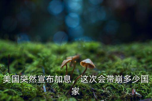 美元這次加息可能到多少,這次會(huì)帶崩多少國家