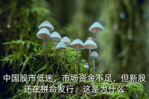 中國(guó)股市低迷，市場(chǎng)資金不足，但新股還在拼命發(fā)行，這是為什么