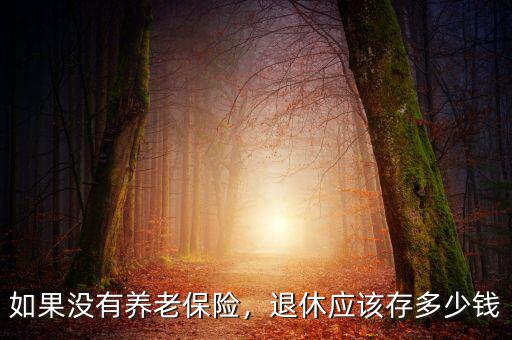 如果沒有養(yǎng)老保險，退休應該存多少錢