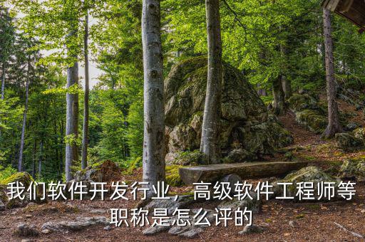 我們軟件開發(fā)行業(yè)，高級軟件工程師等職稱是怎么評的