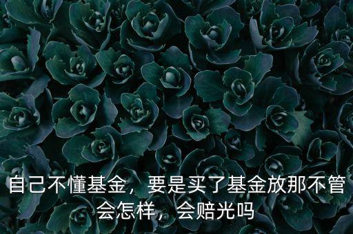 自己不懂基金，要是買了基金放那不管會怎樣，會賠光嗎
