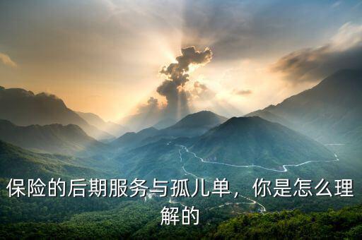 保險(xiǎn)的后期服務(wù)與孤兒?jiǎn)?，你是怎么理解? class=