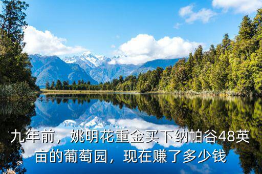 九年前，姚明花重金買(mǎi)下納帕谷48英畝的葡萄園，現(xiàn)在賺了多少錢(qián)
