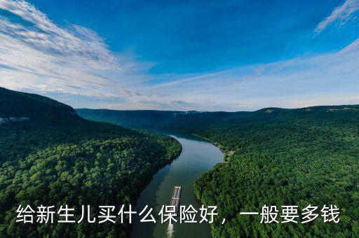 給新生兒買什么保險好，一般要多錢