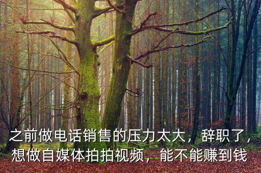 之前做電話銷售的壓力太大，辭職了，想做自媒體拍拍視頻，能不能賺到錢