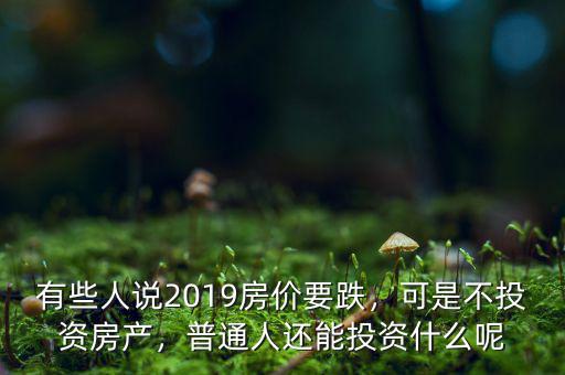 有些人說2019房價要跌，可是不投資房產(chǎn)，普通人還能投資什么呢