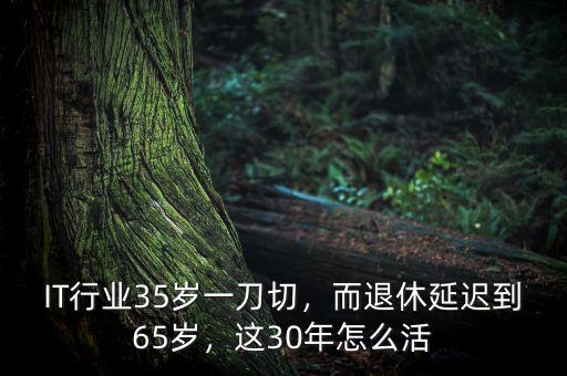 IT行業(yè)35歲一刀切，而退休延遲到65歲，這30年怎么活