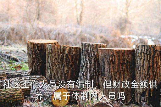 社區(qū)工作人員沒有編制，但財(cái)政全額供養(yǎng)，屬于體制內(nèi)人員嗎