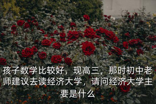 什么是熱經(jīng)濟學,請問經(jīng)濟大學主要是什么