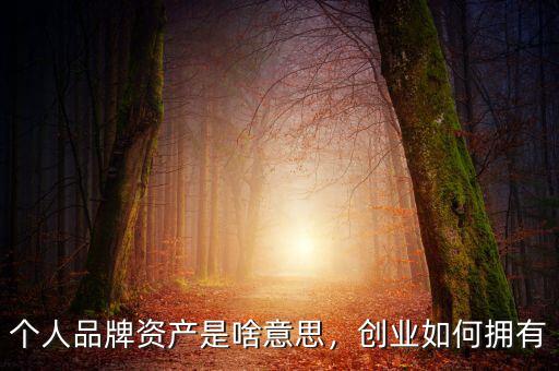 個人品牌資產(chǎn)是啥意思，創(chuàng)業(yè)如何擁有