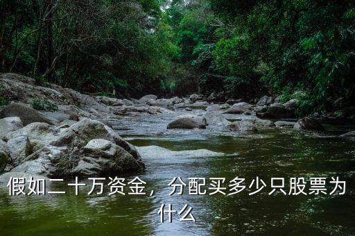 假如二十萬資金，分配買多少只股票為什么