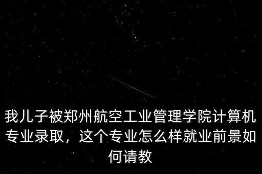 我兒子被鄭州航空工業(yè)管理學(xué)院計算機專業(yè)錄取，這個專業(yè)怎么樣就業(yè)前景如何請教