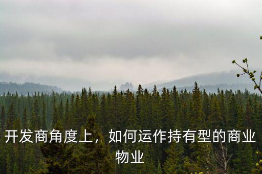 開發(fā)商角度上，如何運(yùn)作持有型的商業(yè)物業(yè)