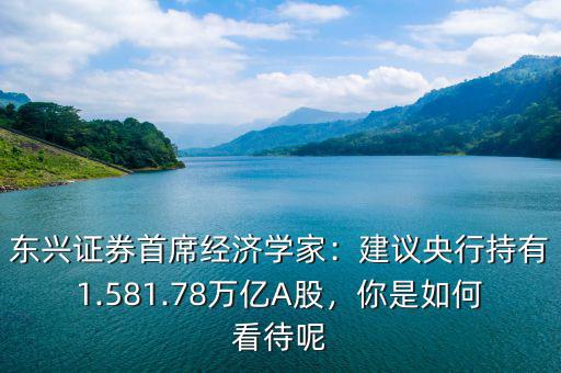 東興證券首席經(jīng)濟(jì)學(xué)家：建議央行持有1.581.78萬(wàn)億A股，你是如何看待呢