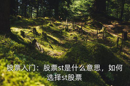 股票入門(mén)：股票st是什么意思，如何選擇st股票