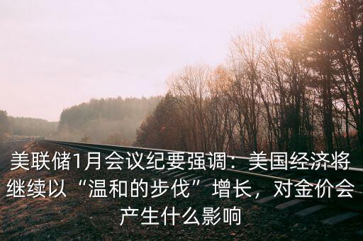 美聯(lián)儲1月會議紀要強調(diào)：美國經(jīng)濟將繼續(xù)以“溫和的步伐”增長，對金價會產(chǎn)生什么影響