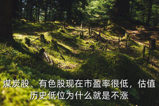 煤炭股、有色股現(xiàn)在市盈率很低，估值歷史低位為什么就是不漲