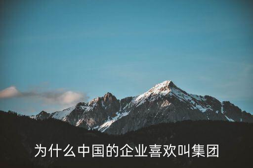 為什么叫企業(yè),為什么會(huì)被說成是外國企業(yè)呢
