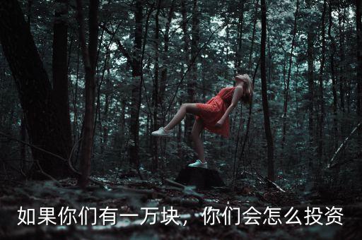 如果你們有一萬塊，你們會(huì)怎么投資