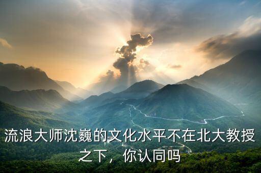 流浪大師沈巍的文化水平不在北大教授之下，你認同嗎