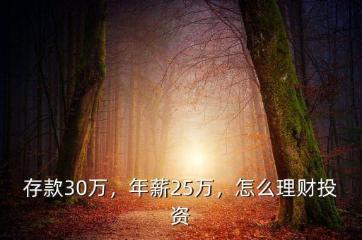 存款30萬，年薪25萬，怎么理財(cái)投資