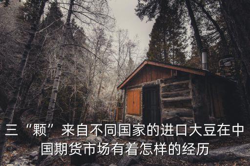 三“顆”來自不同國(guó)家的進(jìn)口大豆在中國(guó)期貨市場(chǎng)有著怎樣的經(jīng)歷