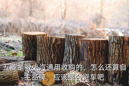 五菱是被上汽通用收購(gòu)的，怎么還算自主品牌，應(yīng)該是合資車吧