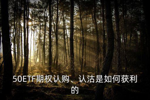 50ETF期權(quán)認(rèn)購、認(rèn)沽是如何獲利的
