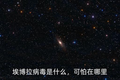 埃博拉病毒是什么，可怕在哪里