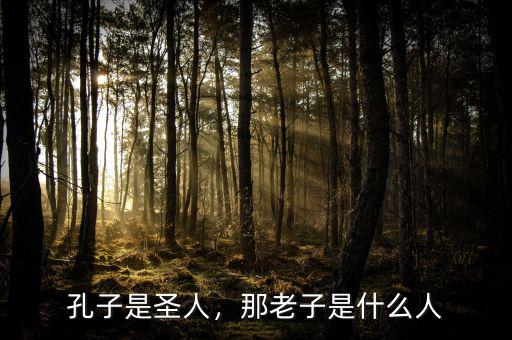 孔子是圣人，那老子是什么人
