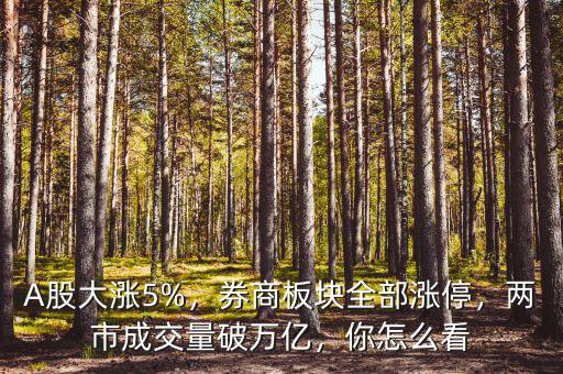 A股大漲5%，券商板塊全部漲停，兩市成交量破萬(wàn)億，你怎么看