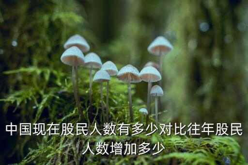 中國現(xiàn)在股民人數有多少對比往年股民人數增加多少